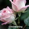 raju.com95