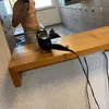 phillip.athlete