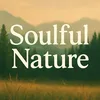 tiktok.soulfulnature