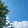 zywin07