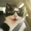 its.johns