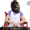 cheezwizthechizard