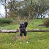 ezy_lewat