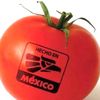 tomaterogodina