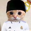 dilabahh