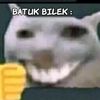 d0d0_sui