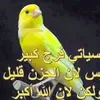 swranmhmade