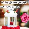 bahralwafa155