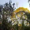 eudaalves05