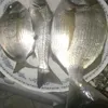 belsenadil