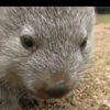 randomsillypersonaccount