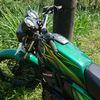 king_greenstyle