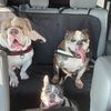 bullylove713