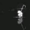 light_rain24