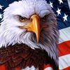 eagle08ab