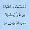 hussenamin1
