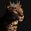 umfahad237