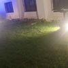 gallardo_palacios