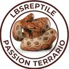 🇨🇵LbsReptile🇨🇵