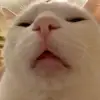 nhatminh02.0
