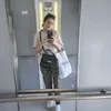 cerdidi2