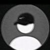 that_boy_lamba