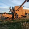 rolnik_z_dupy
