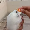 qwereeewr