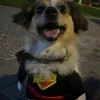 migibengerz