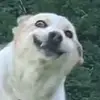 userofp0rnhub
