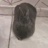 livkkj_7