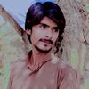 muhammadqasi74
