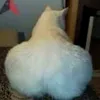 josekzlz