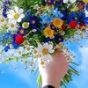 qeribe_heyat_83