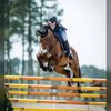 horse_.editszzz