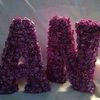 rosealsham7