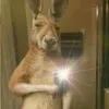 six_shit1