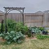 happyclayhomestead