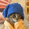 gaycatpls