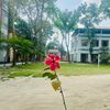 halimatussadia__180