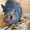 barnyardbracelets