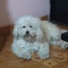 manu242526