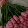 user1462849_689