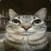 aleks91002