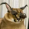 brohfo