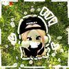 zahraadni6