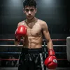 hassanalaa702