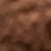 jonobarker2
