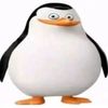 mqfal