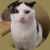 worshate